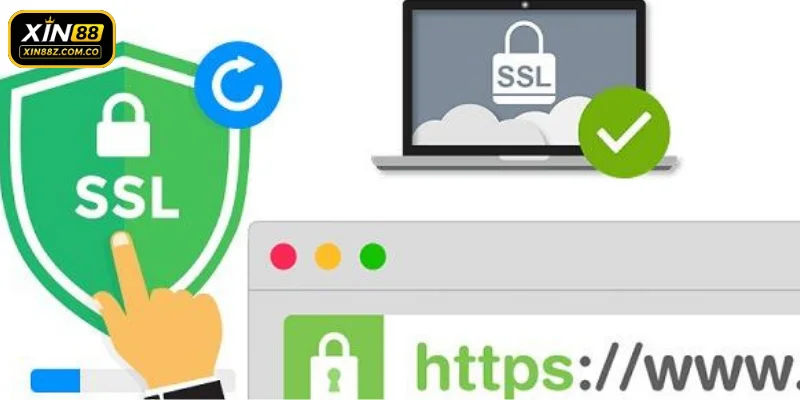Bạn nên cập nhật link vào XIN88 chính thức 2026 liên tục