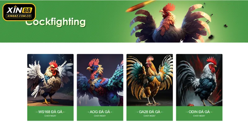 Đá gà XIN88 – Nơi hội tụ những trận cầu nảy lửa