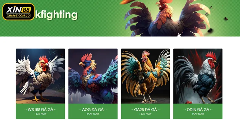 Điểm khác biệt giúp đá gà XIN88 khẳng định tên tuổi