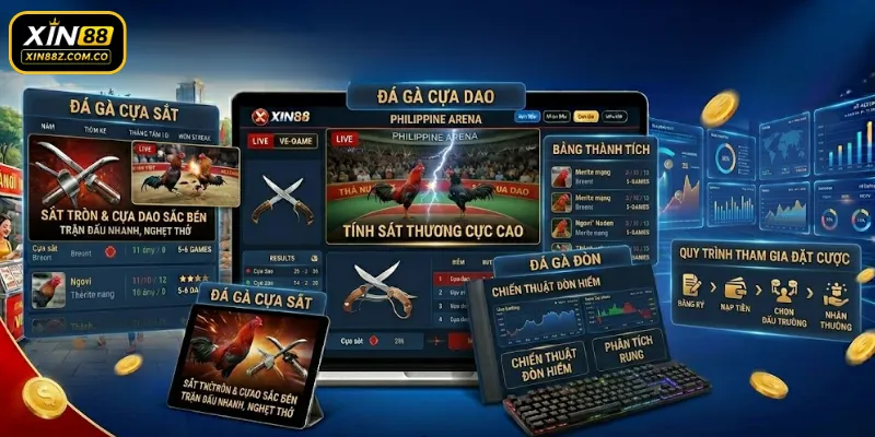 Tổng hợp những đấu trường kê chiến nổi bật của đá gà XIN88